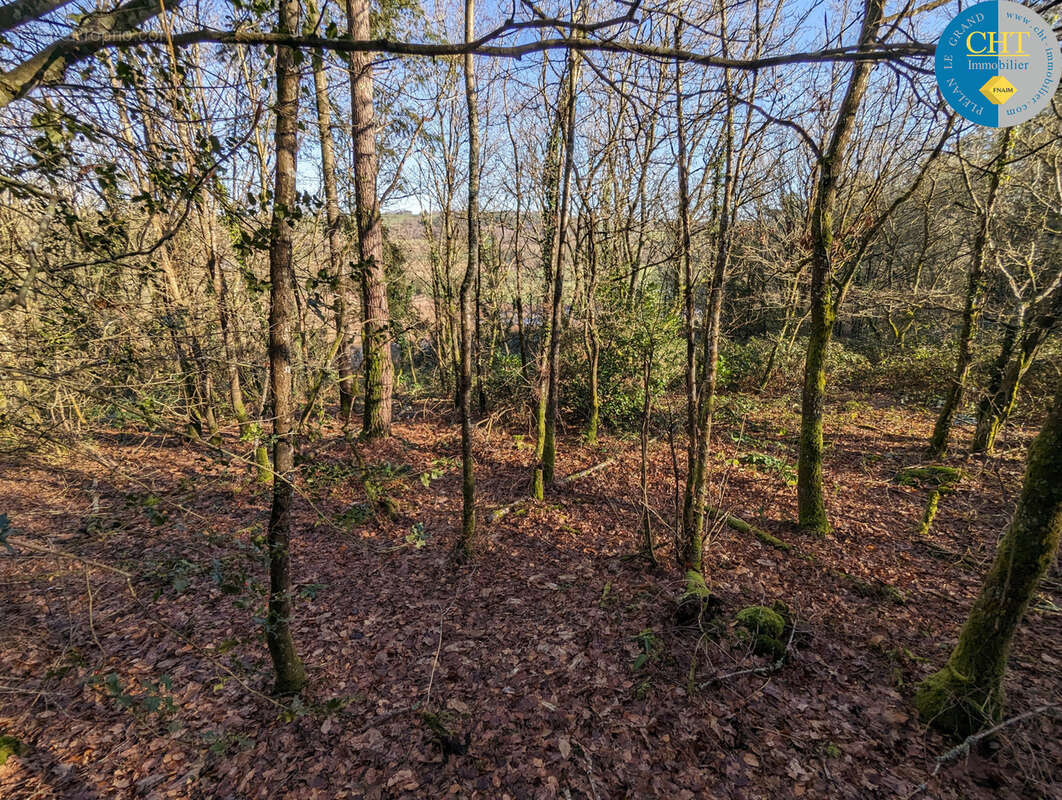 Terrain à BEIGNON