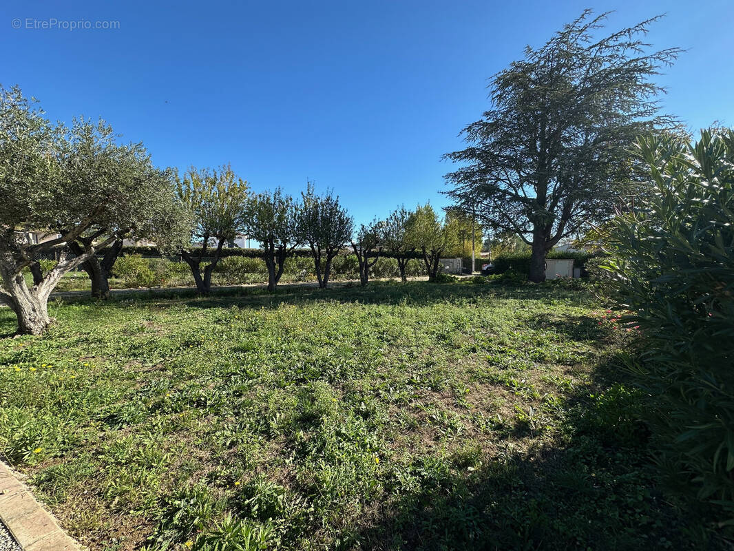 Terrain à PUGET-VILLE