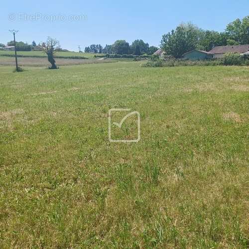 Terrain à SAINT-PROJET