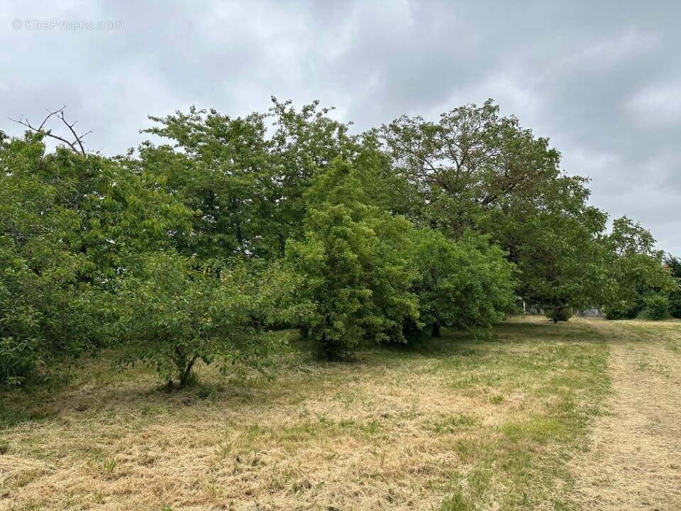 Terrain à SORIGNY