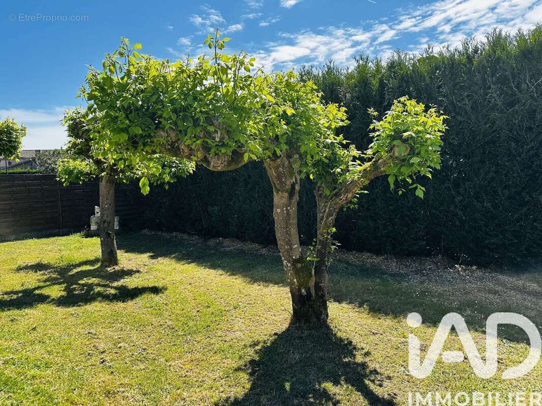 Photo 8 - Maison à LARUSCADE