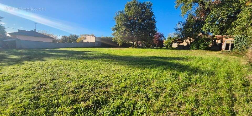 Terrain à ALBI