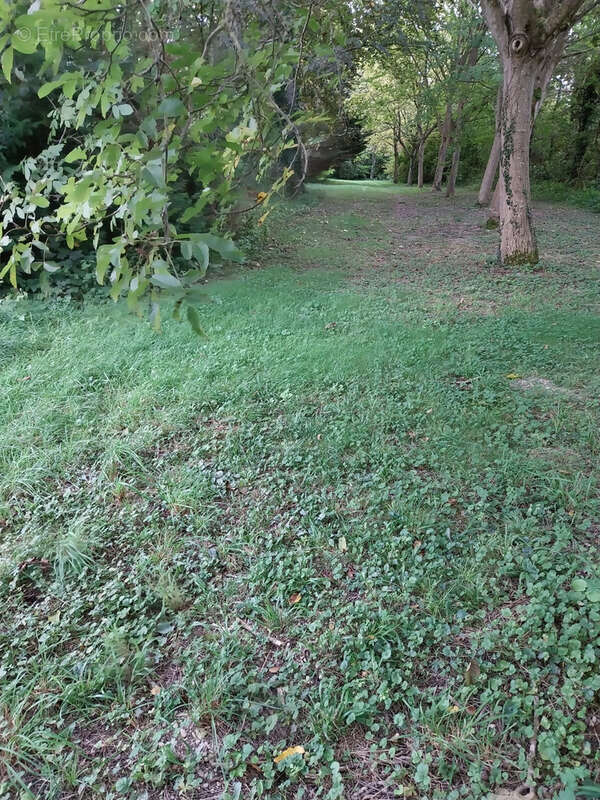 Maison à DROUPT-SAINTE-MARIE