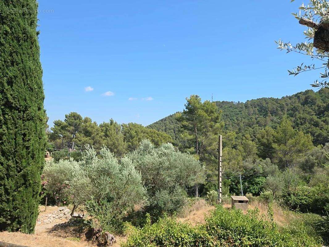 Maison à SOLLIES-VILLE