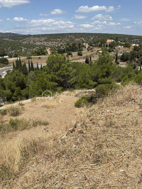 Terrain à TREILLES