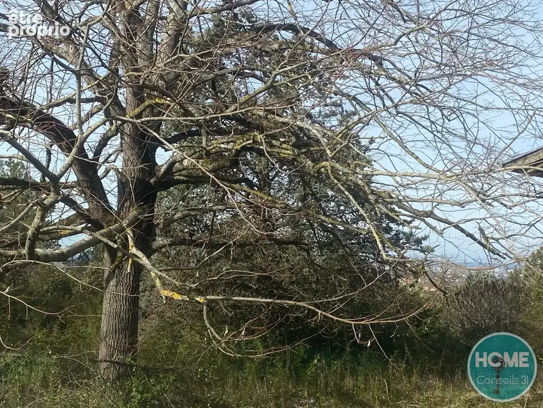 Opportunité investisseur / Déficit foncier — Lot no1 au sein d'une bastide de caractère - photo 4