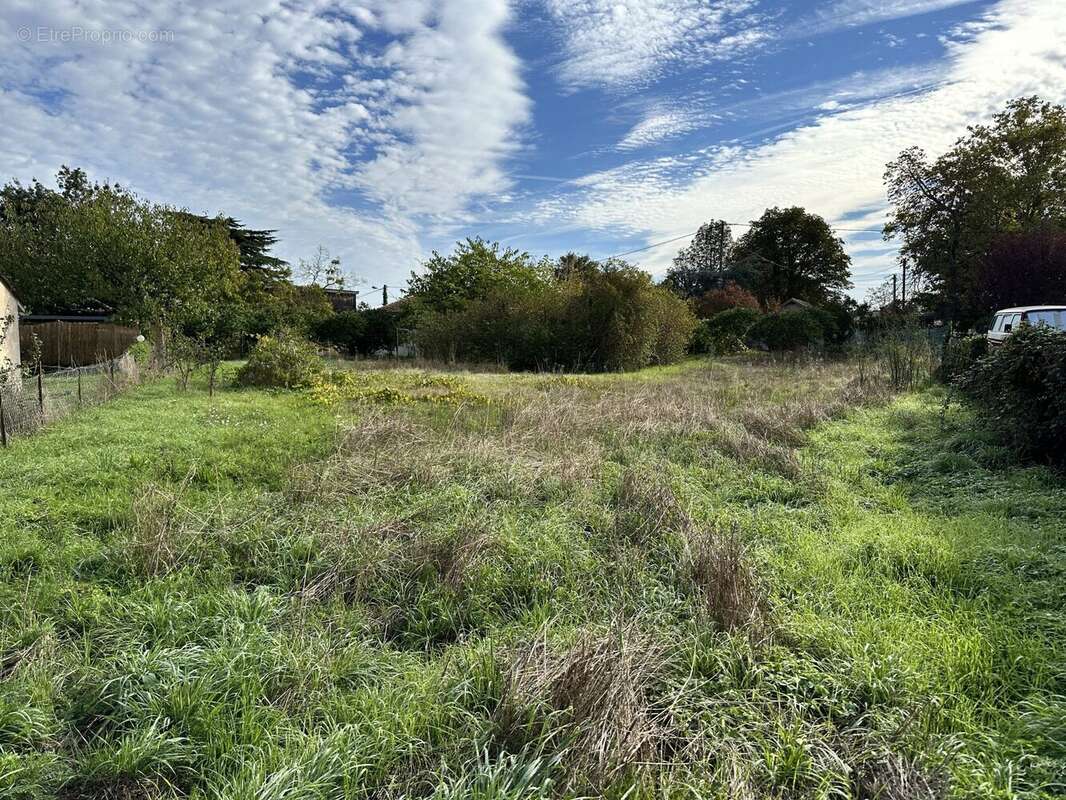 Terrain à AMBARES-ET-LAGRAVE