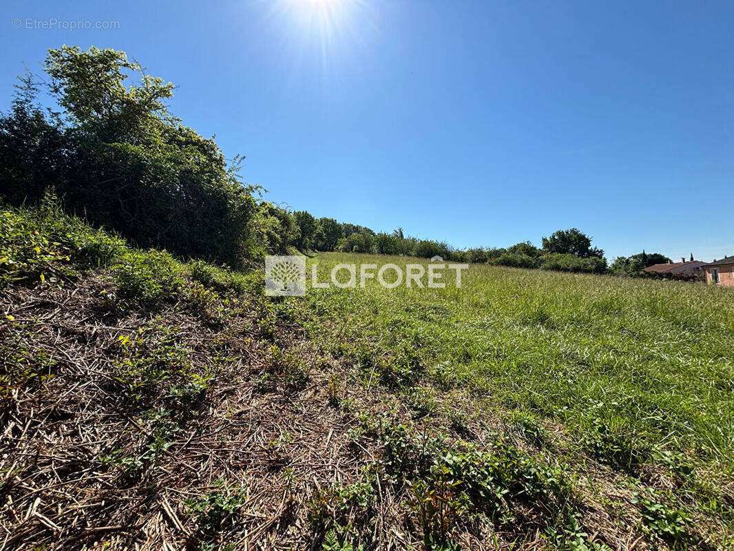 Terrain à VILLEBRUMIER