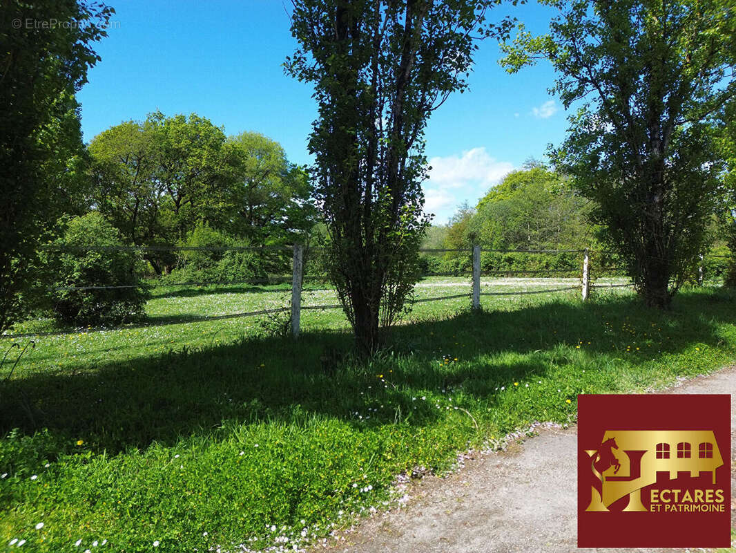 Maison à NORT-SUR-ERDRE