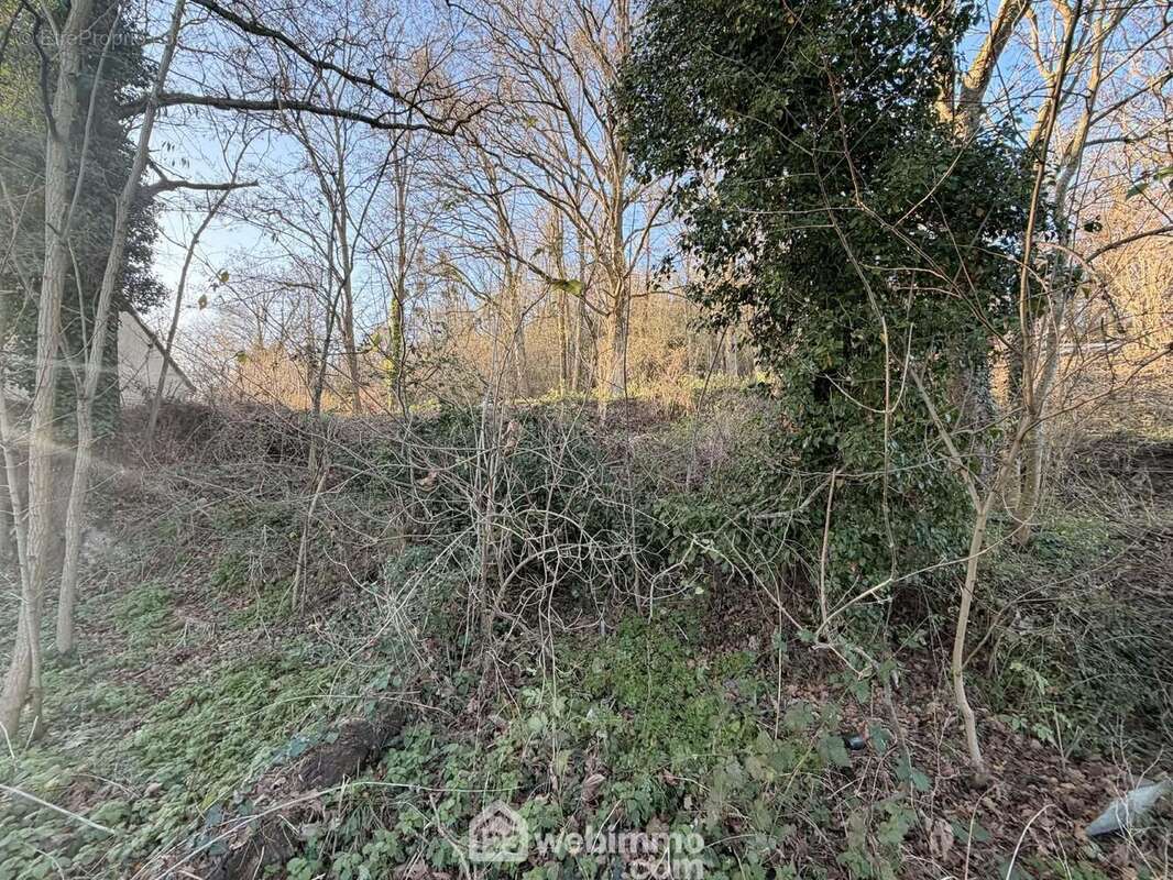 CU positif, un véritable atout pour envisager votre projet en toute sérénité - Terrain à LAON