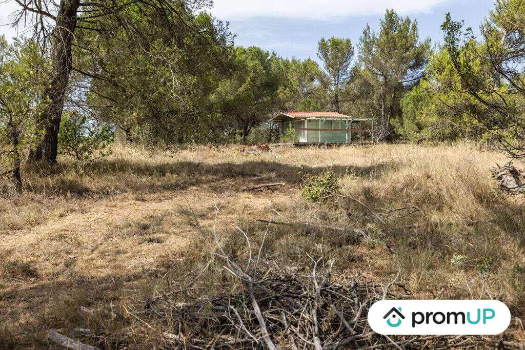 Terrain à MALVES-EN-MINERVOIS