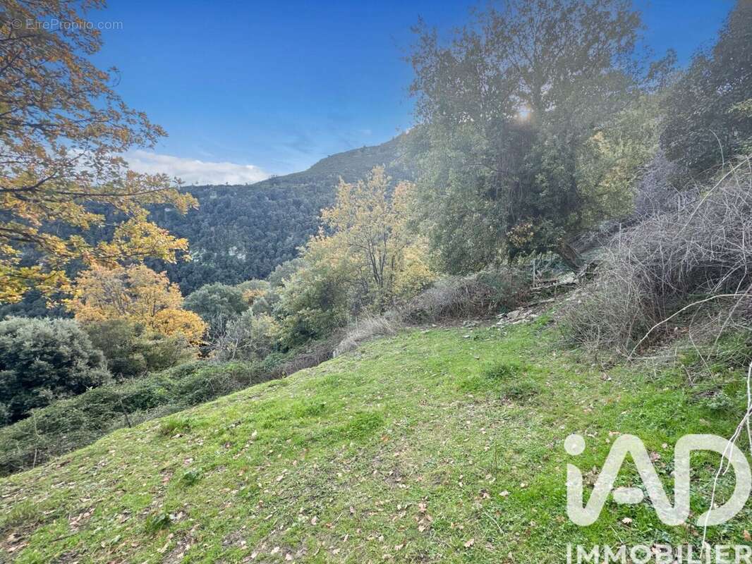 Photo 9 - Terrain à SANTO-PIETRO-DI-TENDA