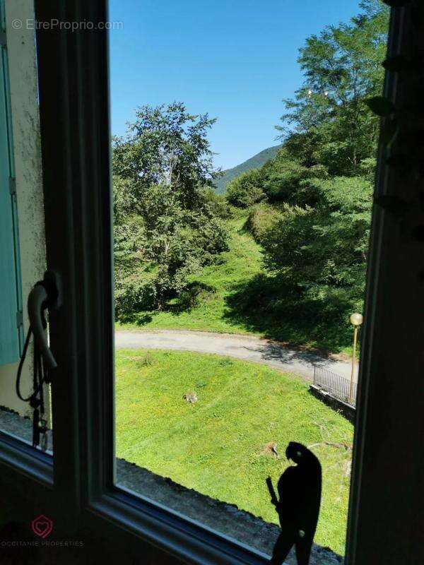 Appartement à COUFLENS