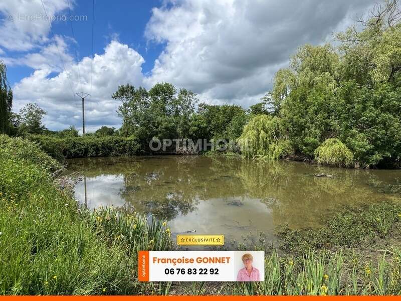 Maison 3 pièces - 52 m² - Terrain 6 900 m² avec mare - SAINT AOUT (36) - 22 000 € - photo 5