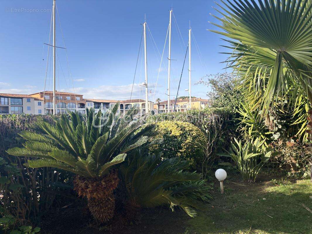 Port cogolin - appartement de standing avec jardin privatif et accès marina - photo 2
