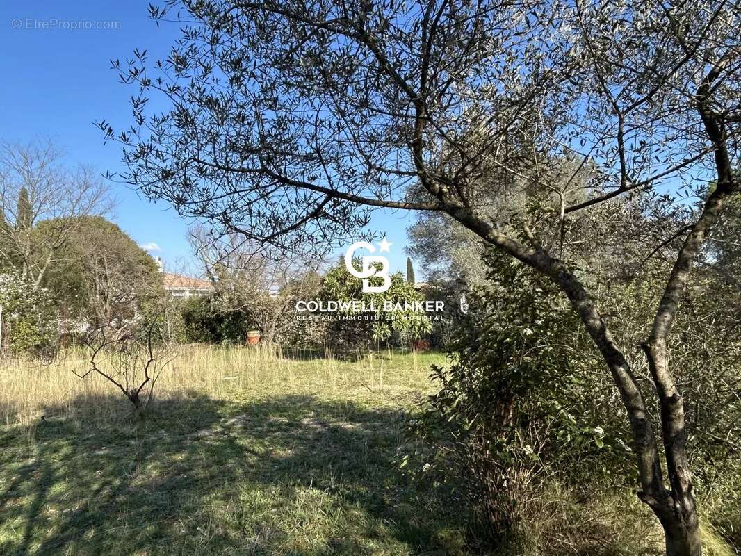 Terrain à CASTELNAU-LE-LEZ