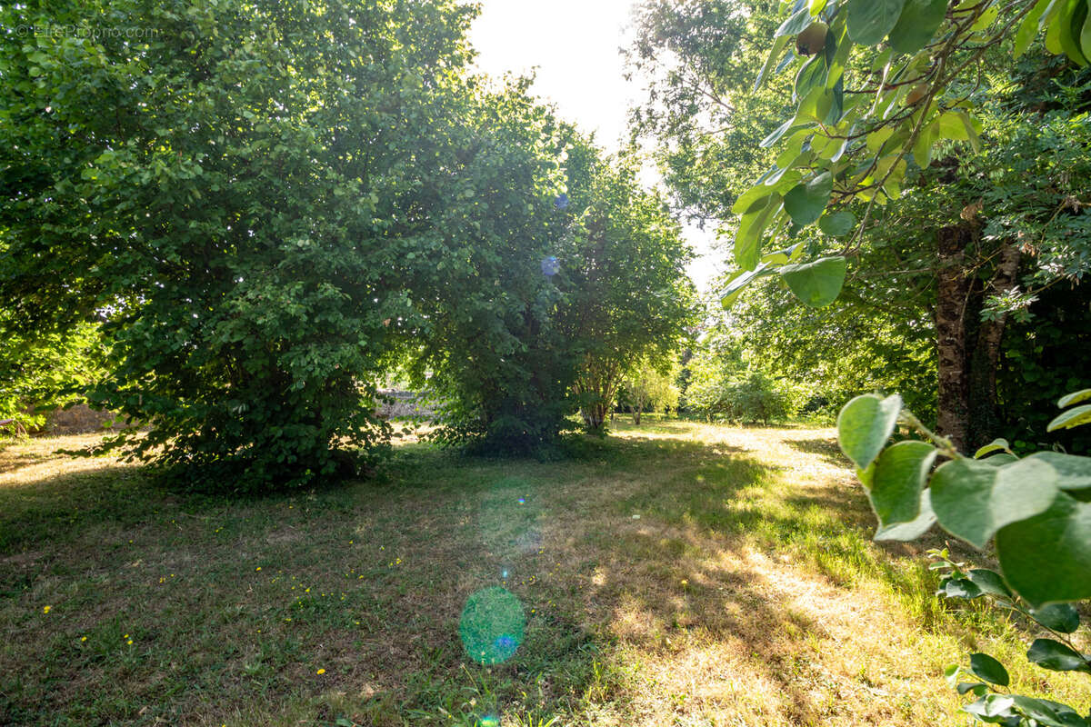 Terrain à CHANIERS