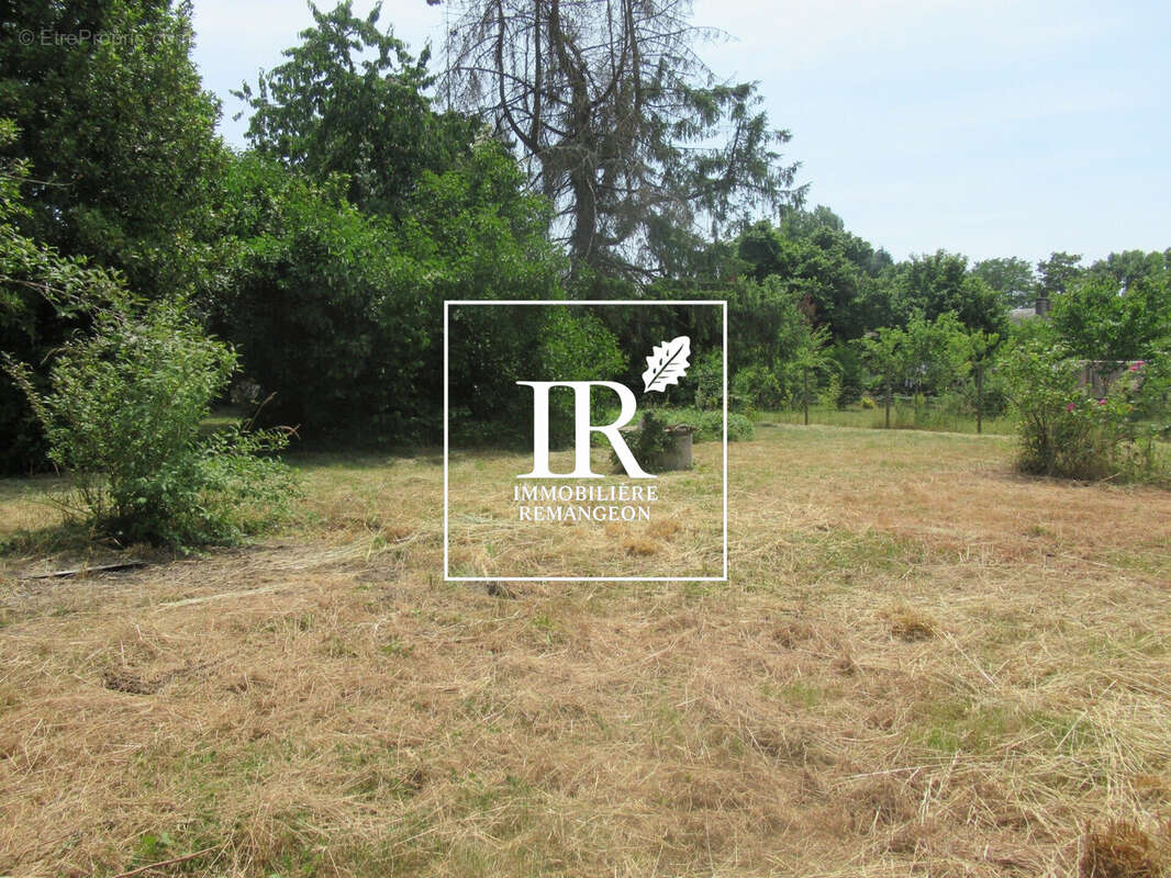 Terrain 1304 m² à Lamotte-Beuvron  - photo 2