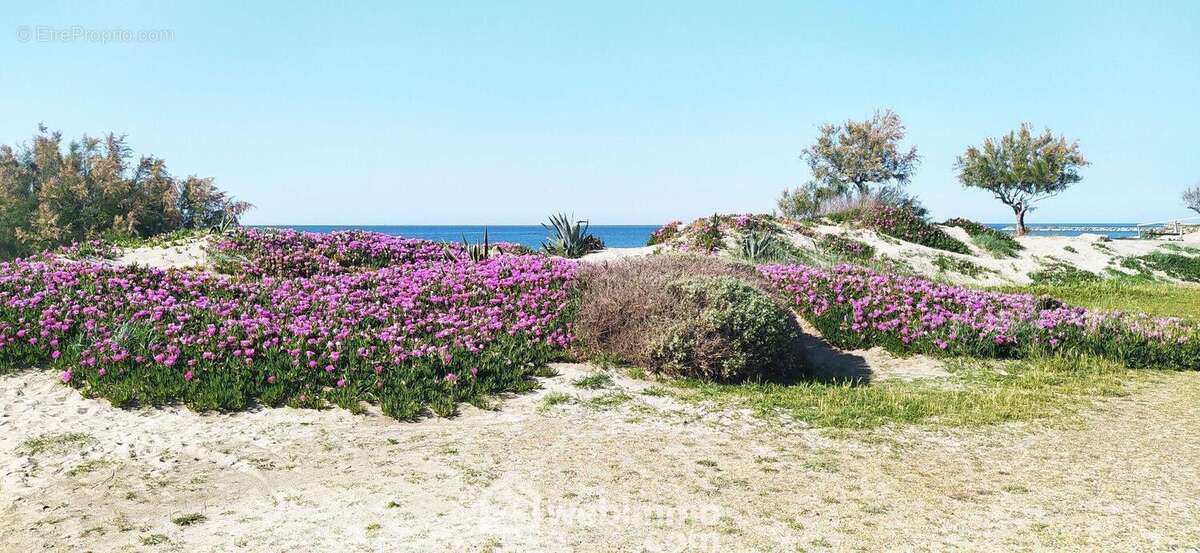Appartement à SAINTES-MARIES-DE-LA-MER