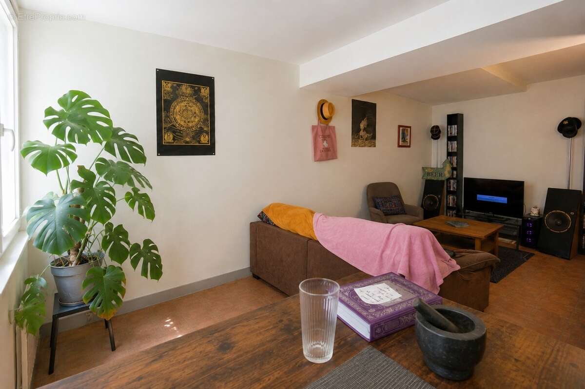Appartement à vendre 2 pièces LYON 9EME ARRONDISSEMENT (69) - Quai de Scize - Front de Saône - photo 4