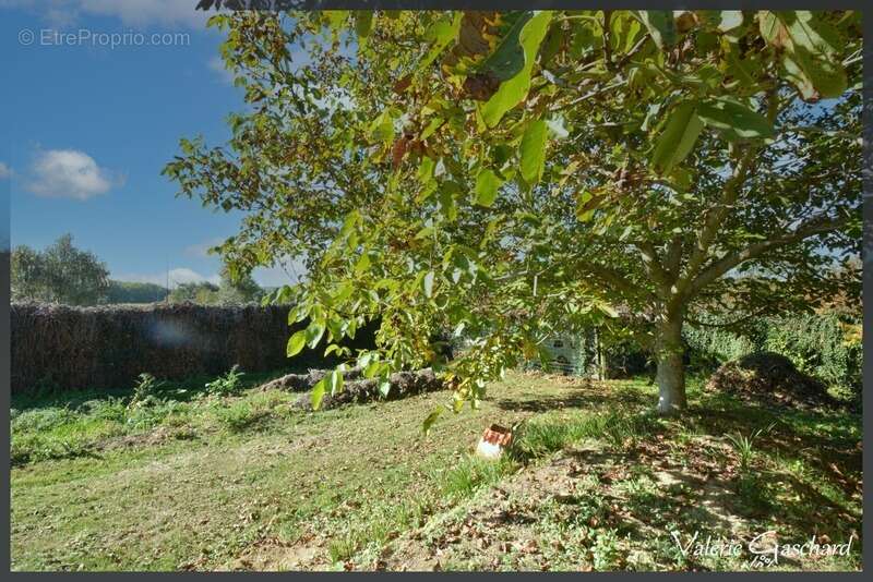 Maison à SAINT-VIVIEN