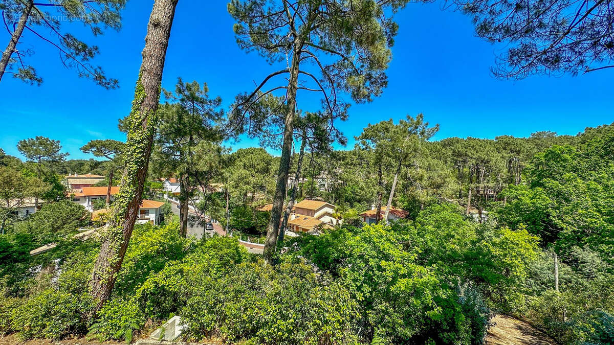 Terrain à ARCACHON