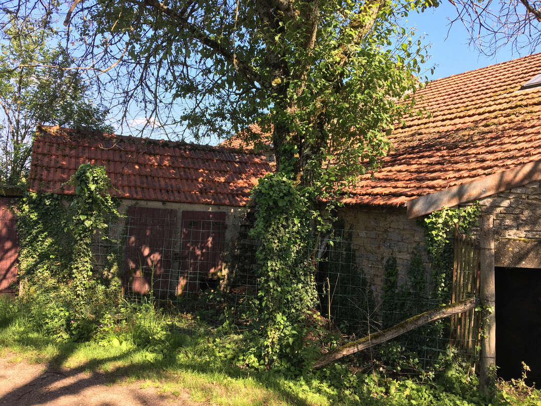 Maison à THIZY