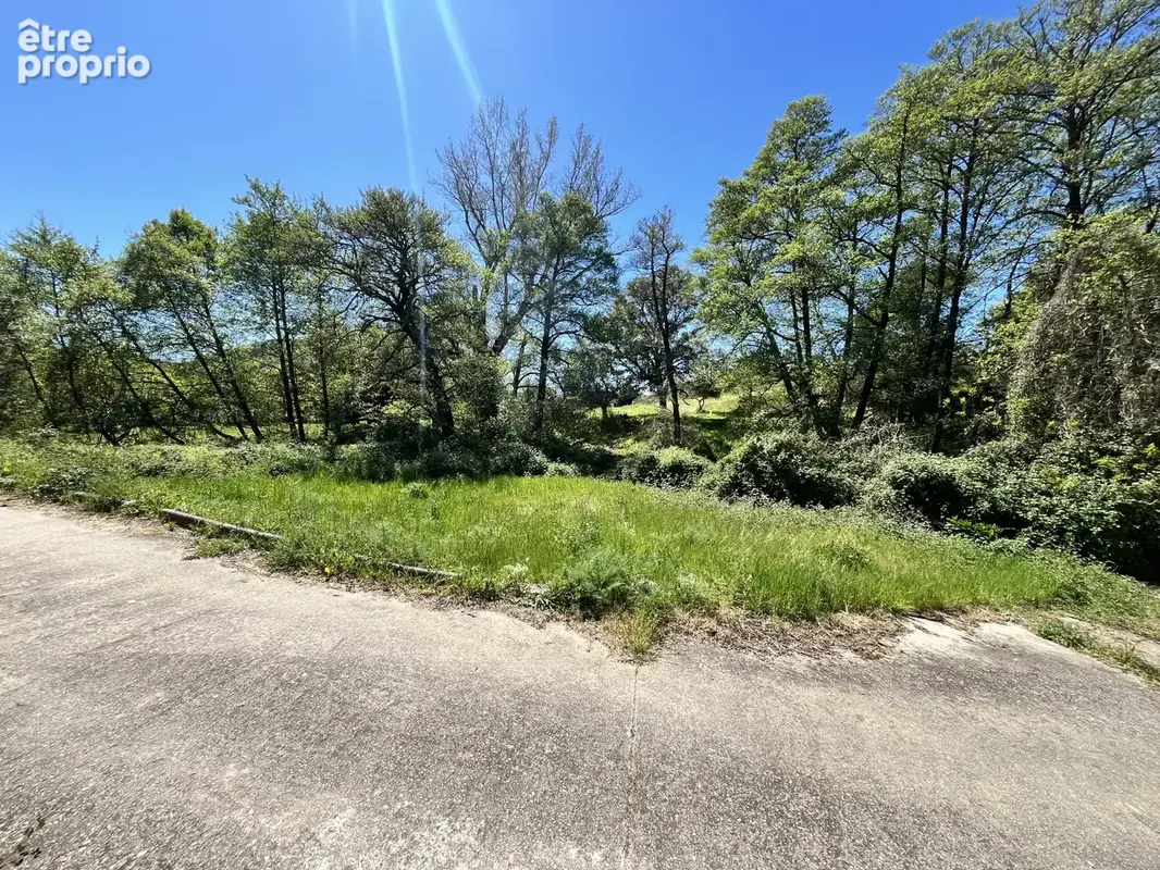 Vente maison de 147 m2 à afa - photo 11