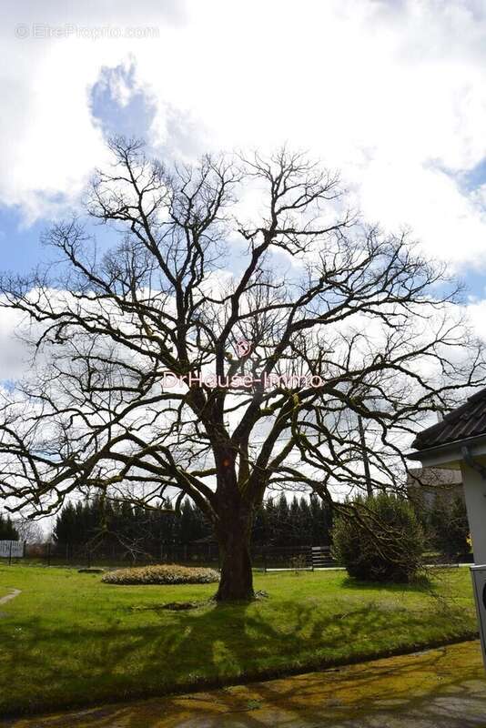 Maison à SAINT-MATHIEU