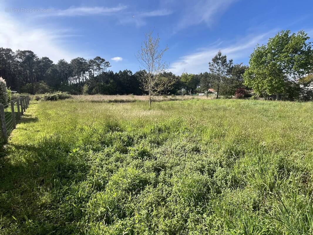 Terrain à TOSSE