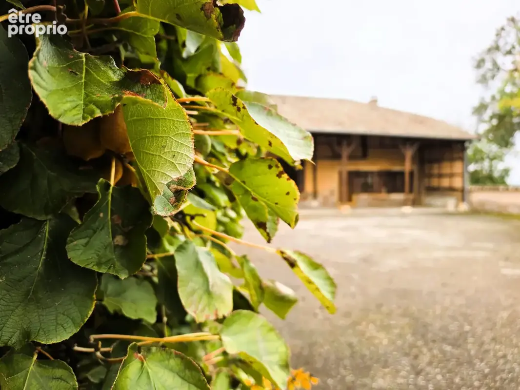 Ferme bressane avec 4551 m2 entierement constructible 15 minutes de macon - photo 8