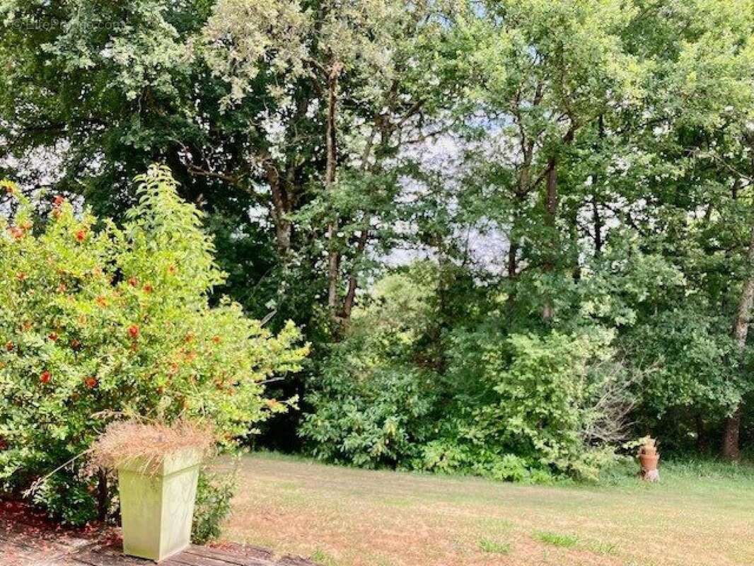 Photo 9 - Maison à CAZAUBON