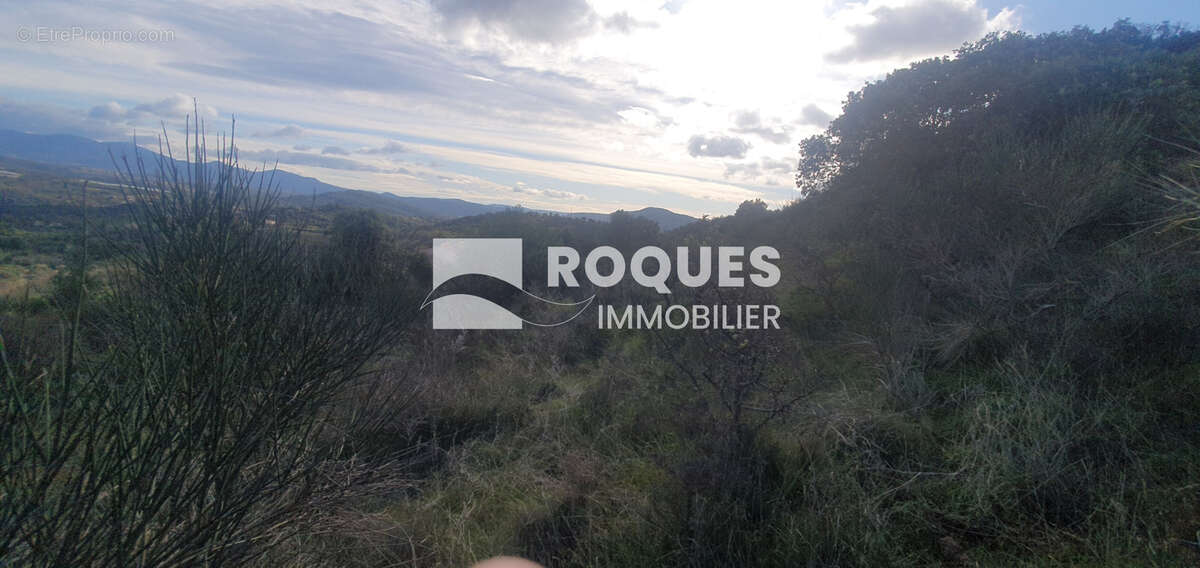 Commune Le Puech, terrain de Loisirs d'une superficie de 1.6 ha - photo 4