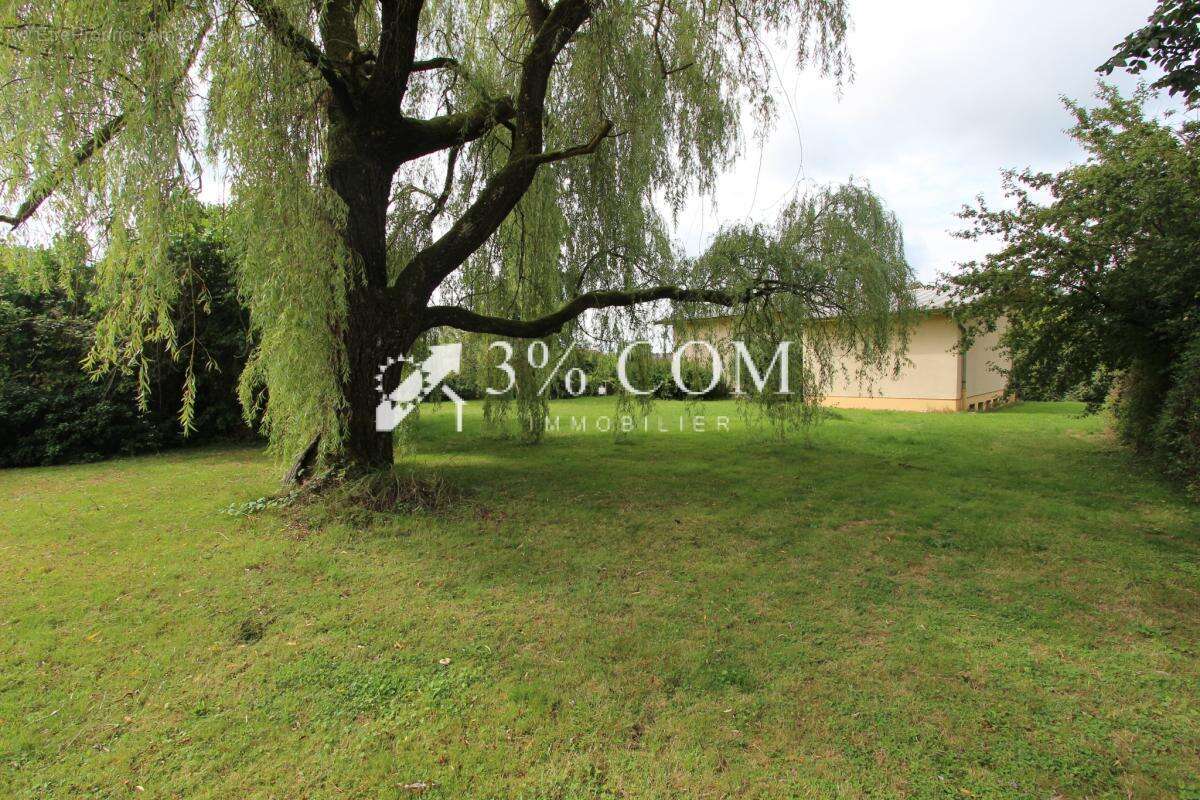 Maison 5 pièces 156 m2 - 3 chambres - Jardin - Sous-sol comp - photo 2