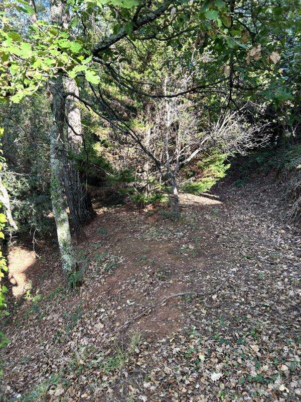 Terrain à LES ADRETS-DE-L'ESTEREL