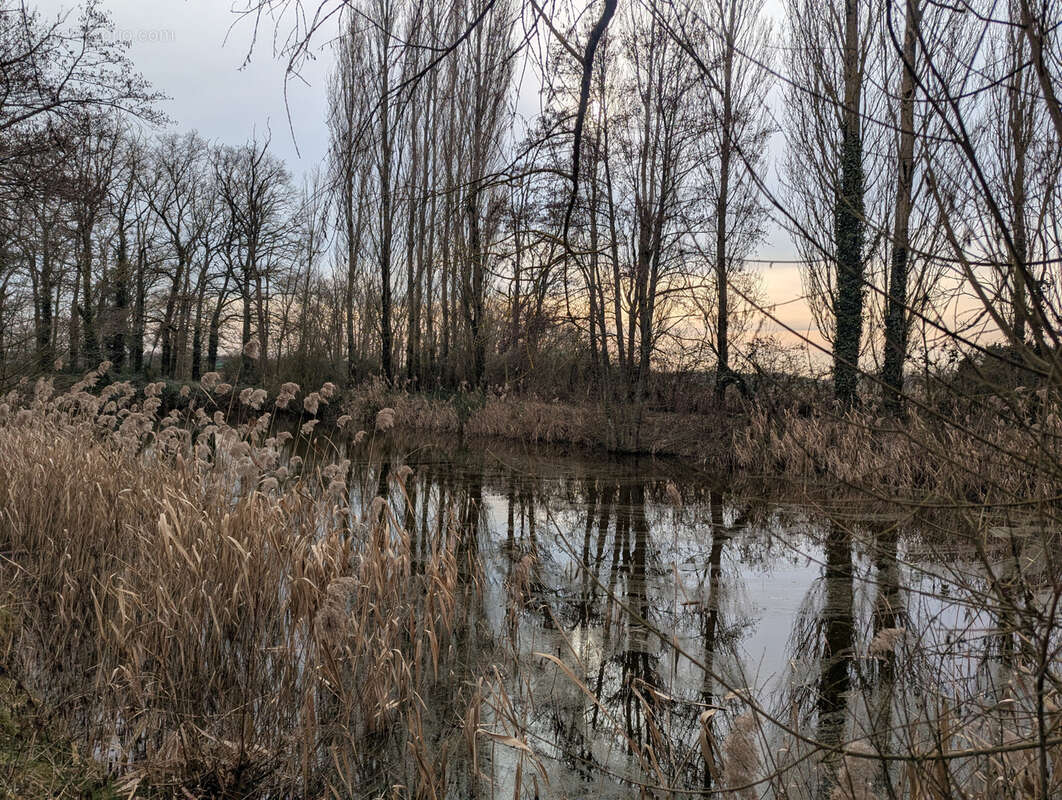 Maison à SAINT-MAURICE-SUR-FESSARD