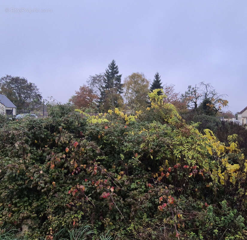 Terrain à CLERY-SAINT-ANDRE