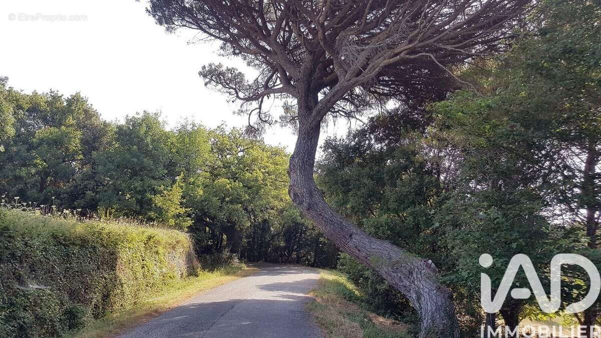 Photo 2 - Terrain à FAUGERES