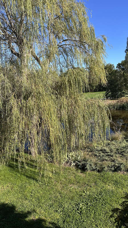 Maison à SAINT-ANDRE-DE-DOUBLE