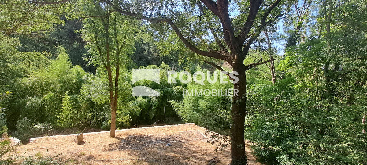A VENDRE, Proche Lodève, Maison 159 m2 en pleine nature sur 6002 m2 de terrain attenant - photo 10