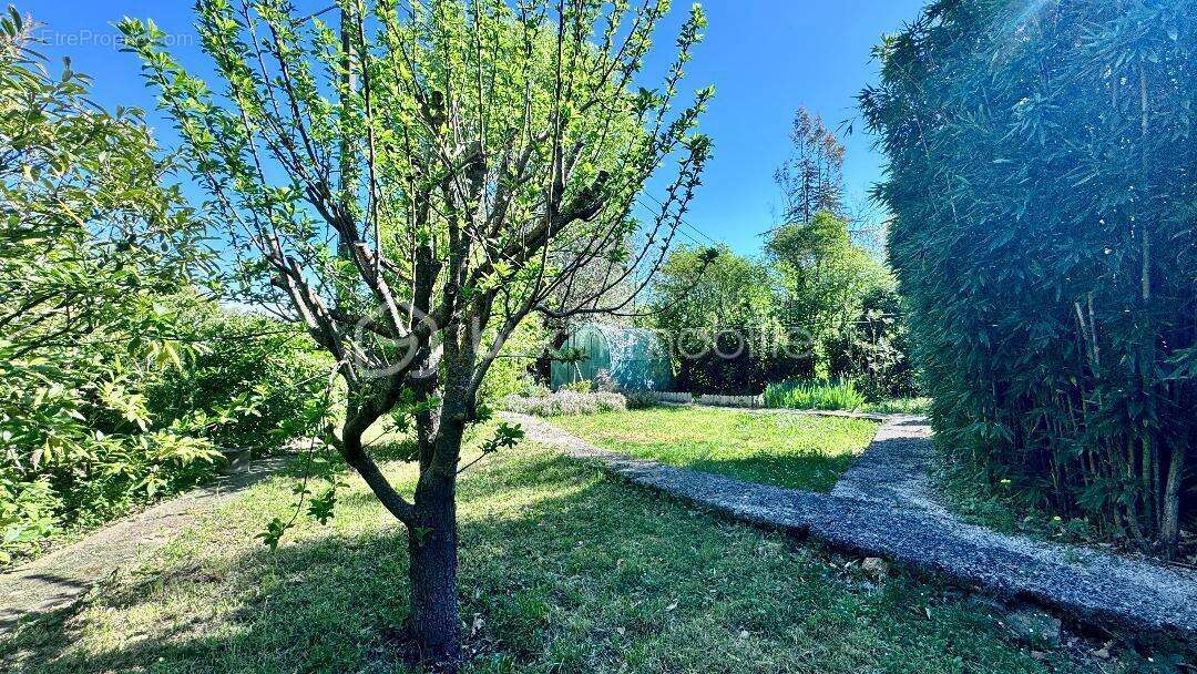 Achat Maison de 119m 4 chambres avec jardin arboré de 1390m²  La Celle (83170) - photo 15