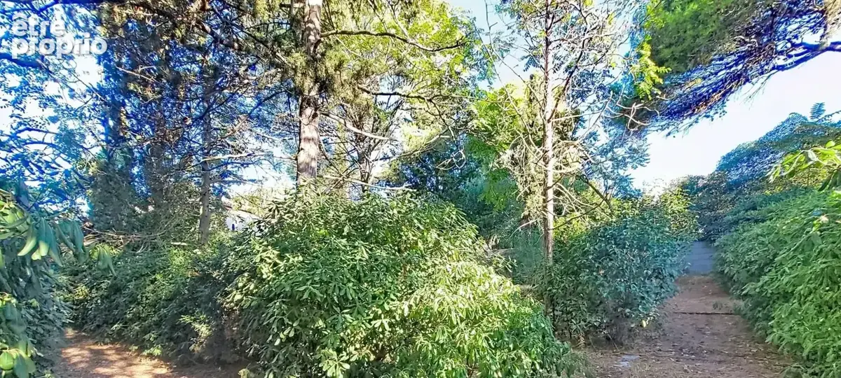 Dans l'un des secteurs les plus prisés de Sète, entre le Bas Mont Saint-Clair et la Corniche, - photo 3