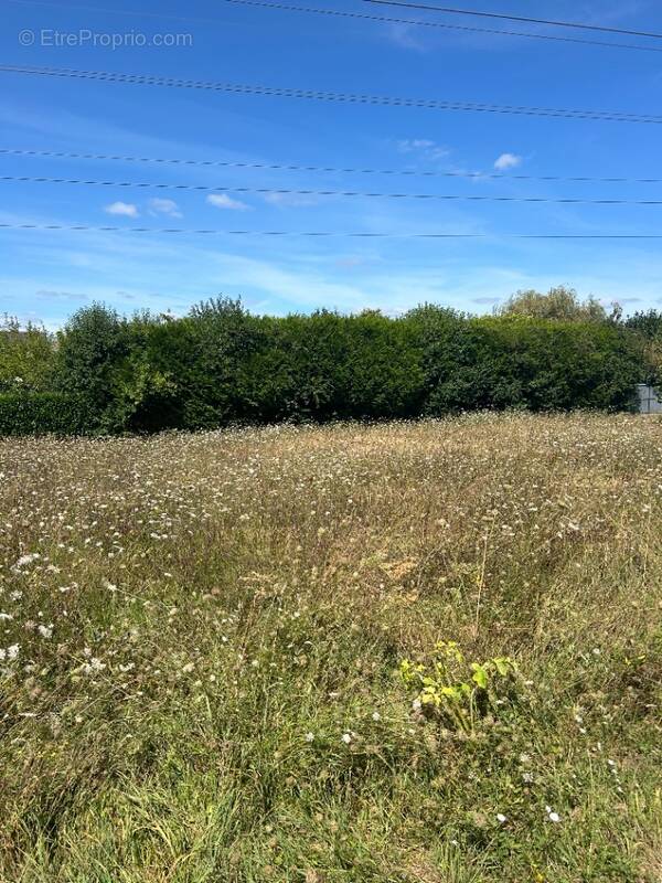 Terrain à VEIGNE