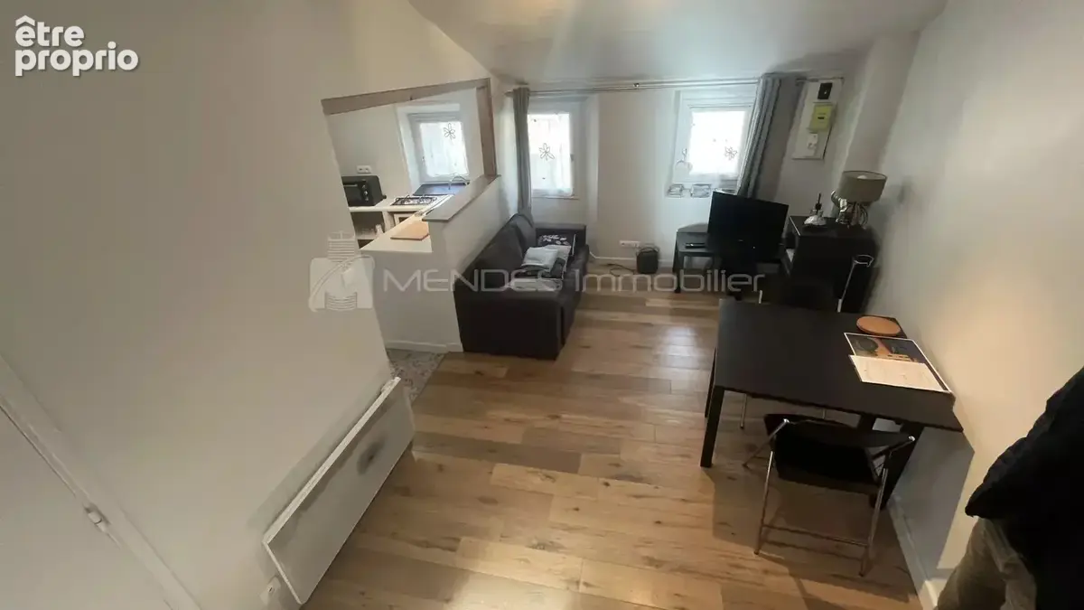 Appartement 2 pieces avec mezzanine - photo 3