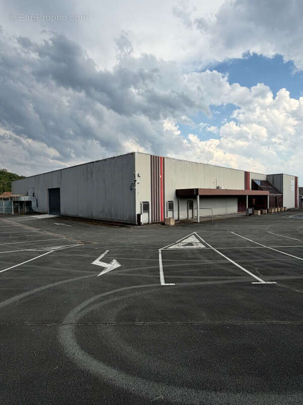 Local commercial A VENDRE 1690m² - Proche SAINT-JUNIEN - Terrain - photo 10