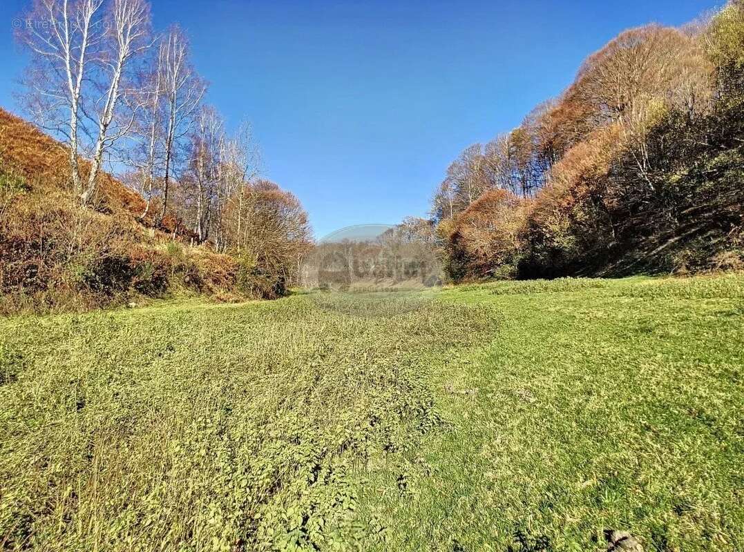 Maison à MAULEON-BAROUSSE