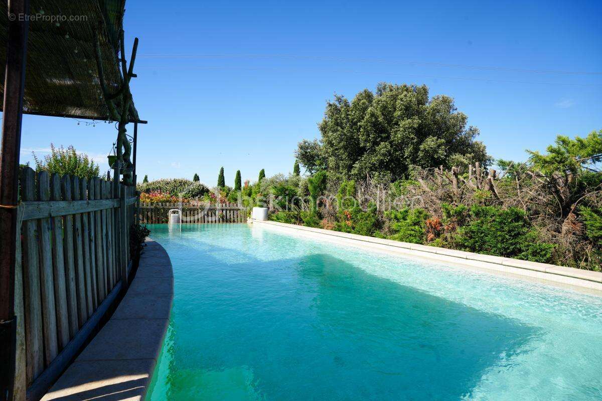 Domaine d'exception - photo 14