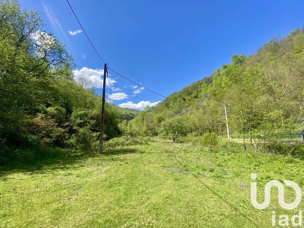 Photo 7 - Maison à LABASSERE