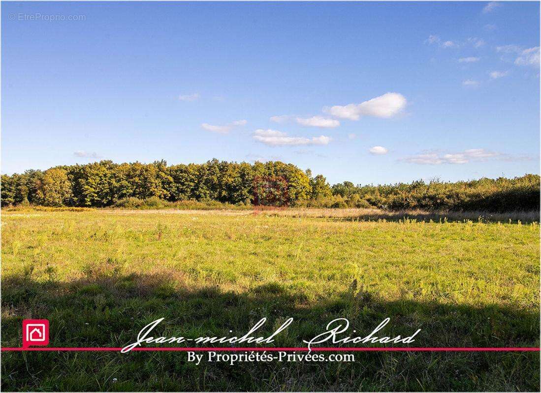 Terrain à GY-EN-SOLOGNE