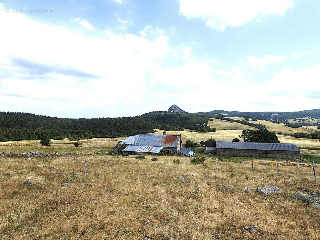 (1460 m²) Ancienne ferme avec vue sur le Mont Gerbier de Jonc  - photo 4